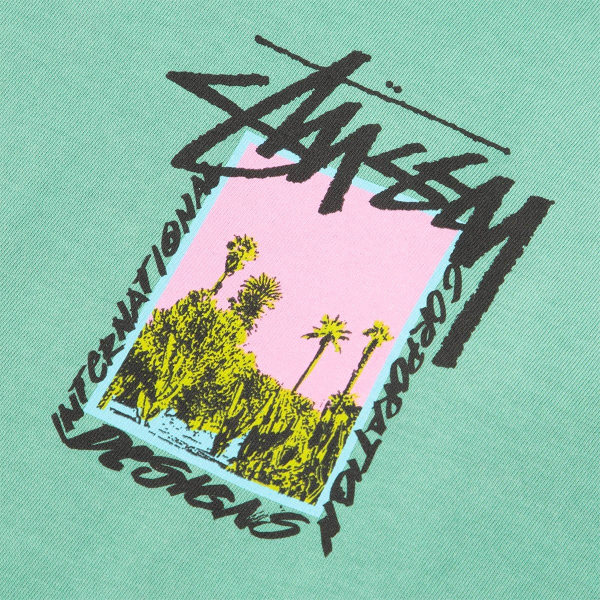 Stussy Palm Desert Pigment Dyed LS Tee - Moss Hot on Sale