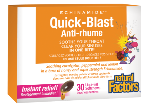 Natural Factors ECHINAMIDE® Quick-Blast 30 liqui-Gel softchews   6-pack box Cheap