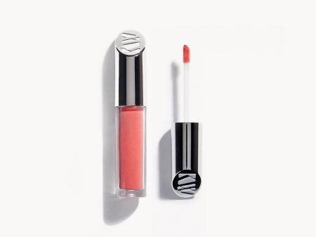 Lip Gloss--Fascination Online Sale