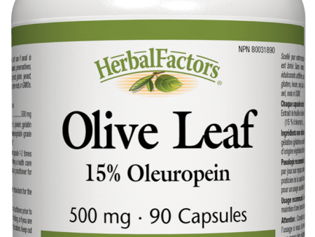 Natural Factors Olive Leaf, 500mg, 15% Oleuropein, 90 capsules Online Sale