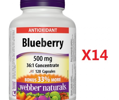 14 x Webber Naturals Blueberry 500mg 120 capsules Bundle Cheap