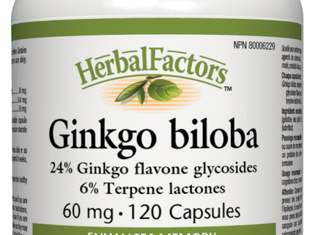 Natural Factors Ginkgo Biloba Extract, 60 mg, 120 capsules For Sale