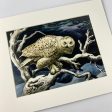 Snowy Owl Matted Print Online Hot Sale