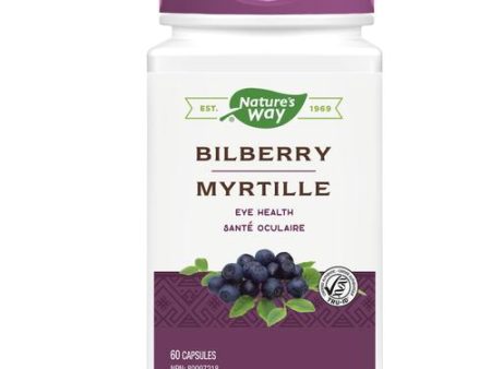 Nature s Way Bilberry, 60 capsules For Sale