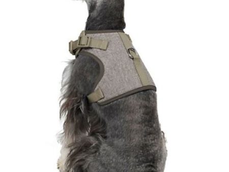 Martha Stewart Fashionable Tweed Dog Harness Grey Bowtie,XX-Small Cheap