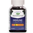 Nature s Way Sambucus Immune Support Kids Gummies, 60 gummies Cheap