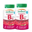 2 x Jamieson Vitamin B12 Gummy, 1200mg, 70 gummies Bundle For Cheap