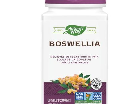 Nature s Way Boswellia, 60 tabs Discount