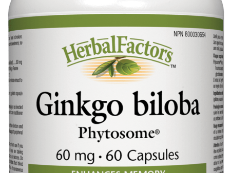 Natural Factors Ginkgo Biloba PHYTOSOME™,  60mg, 60 caps Hot on Sale