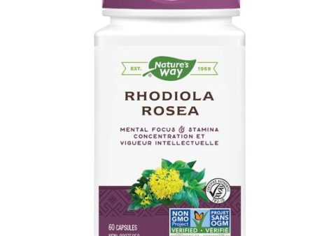 Nature s Way Rhodiola Rosea, 60 Vcaps Online Hot Sale