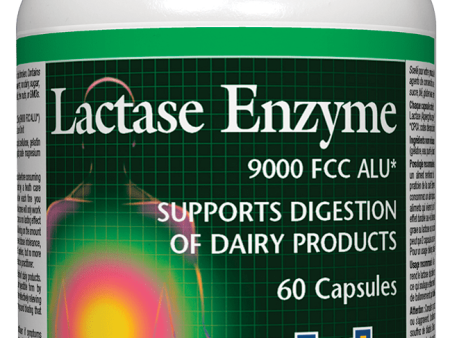 Natural Factors Lactase Enzyme, 9000FCC, 60 capsules Discount