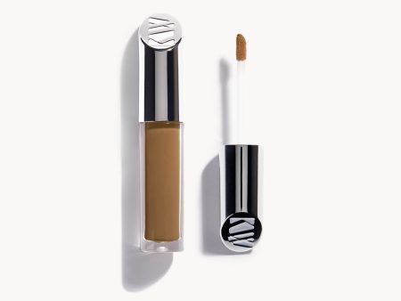 Concealer--D326 Wonderful on Sale