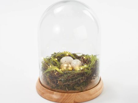 Martha Stewart Illuminated Spring Nest Cloche For Cheap