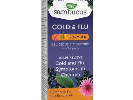 Nature s Way Kids Sambucus Cold and Flu Care, Syrup, 120ml Online Sale